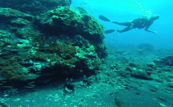 Diving at Barren
