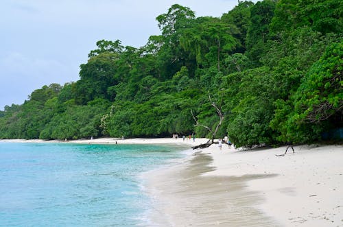Andaman Budget Tour