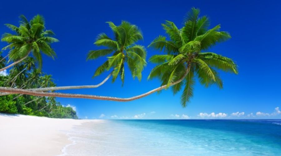 Andaman Budget Tour