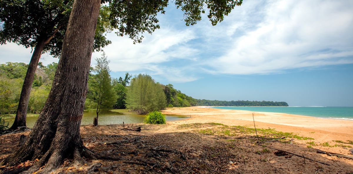 Butler Bay Beach