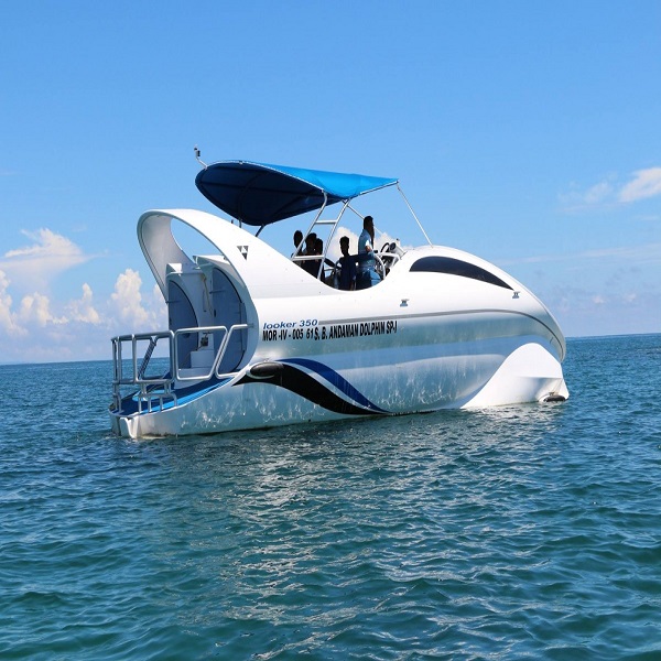 Dolphin Glass Boat