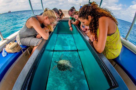 Glass Bottom Boat in Andaman