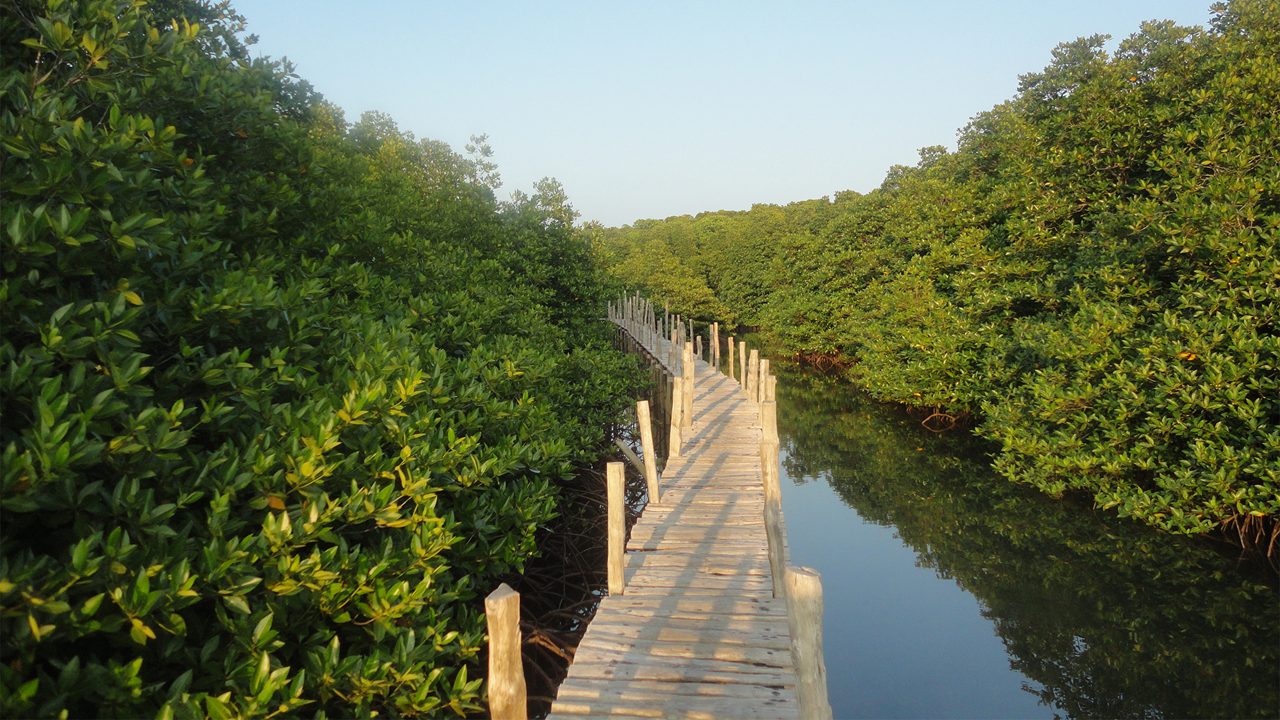 Yerrata Creek