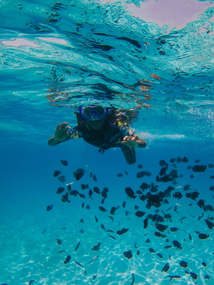 Home Scuba diver exploring vibrant underwater marine life filled with fish.